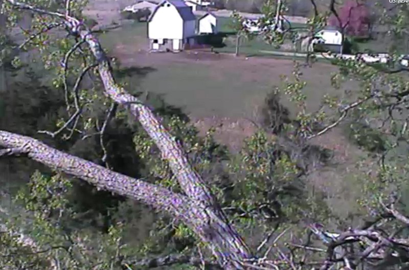 ScreenHunter_03 Apr. 06 16.51.jpg